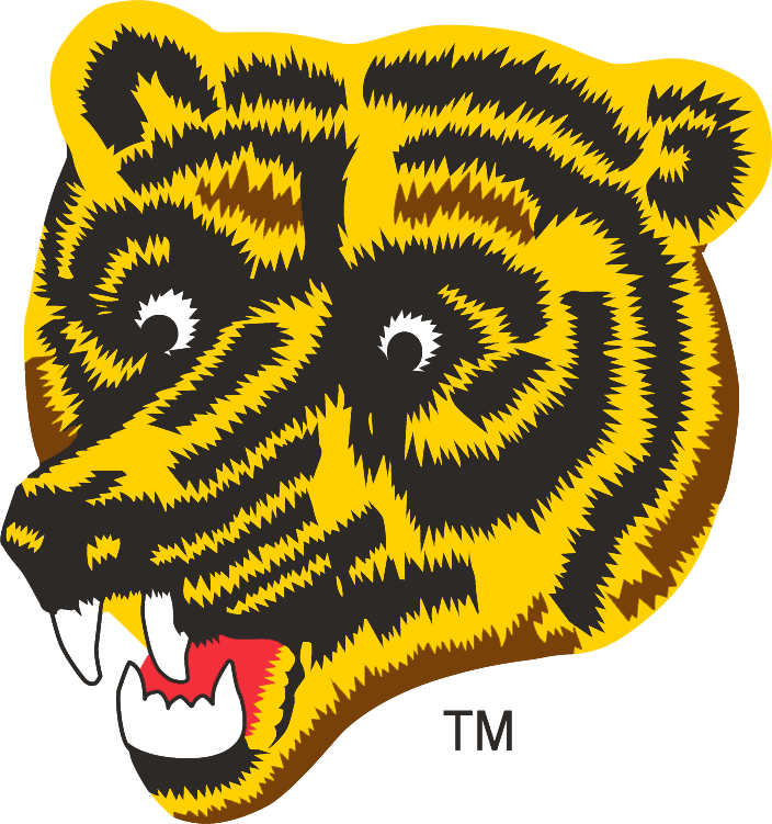 Boston Bruins 1976-1995 Alternate Logo iron on heat transfer